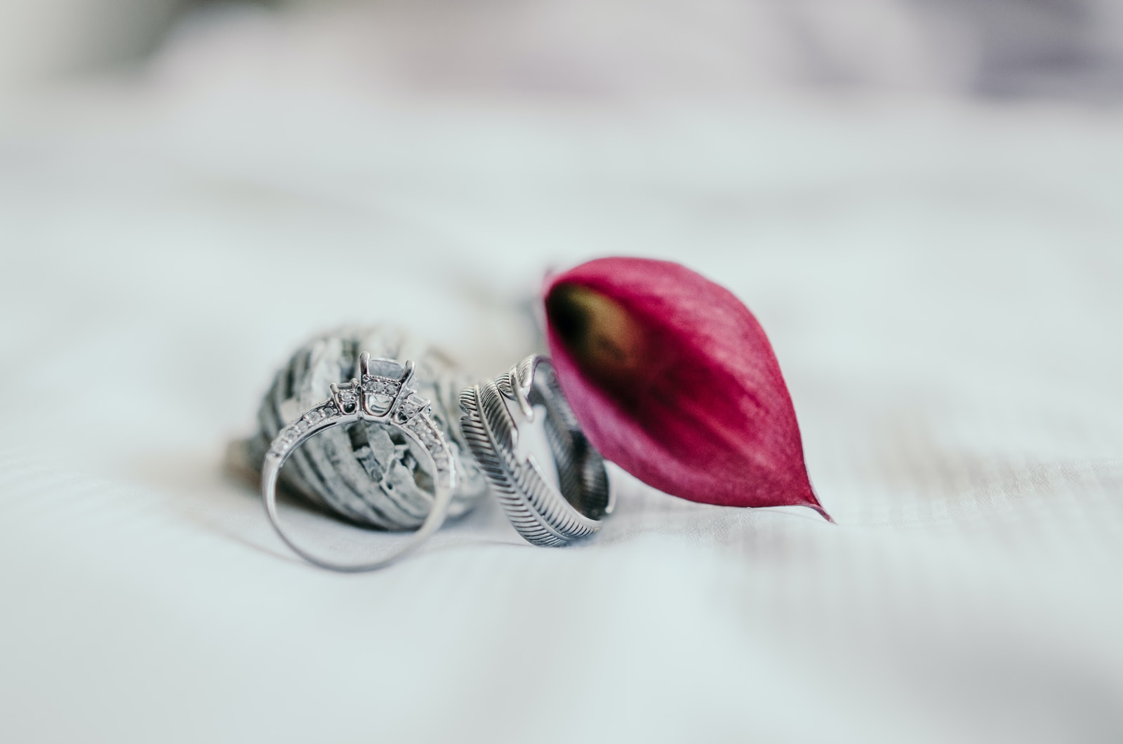 silver-colored ring beside pink flower